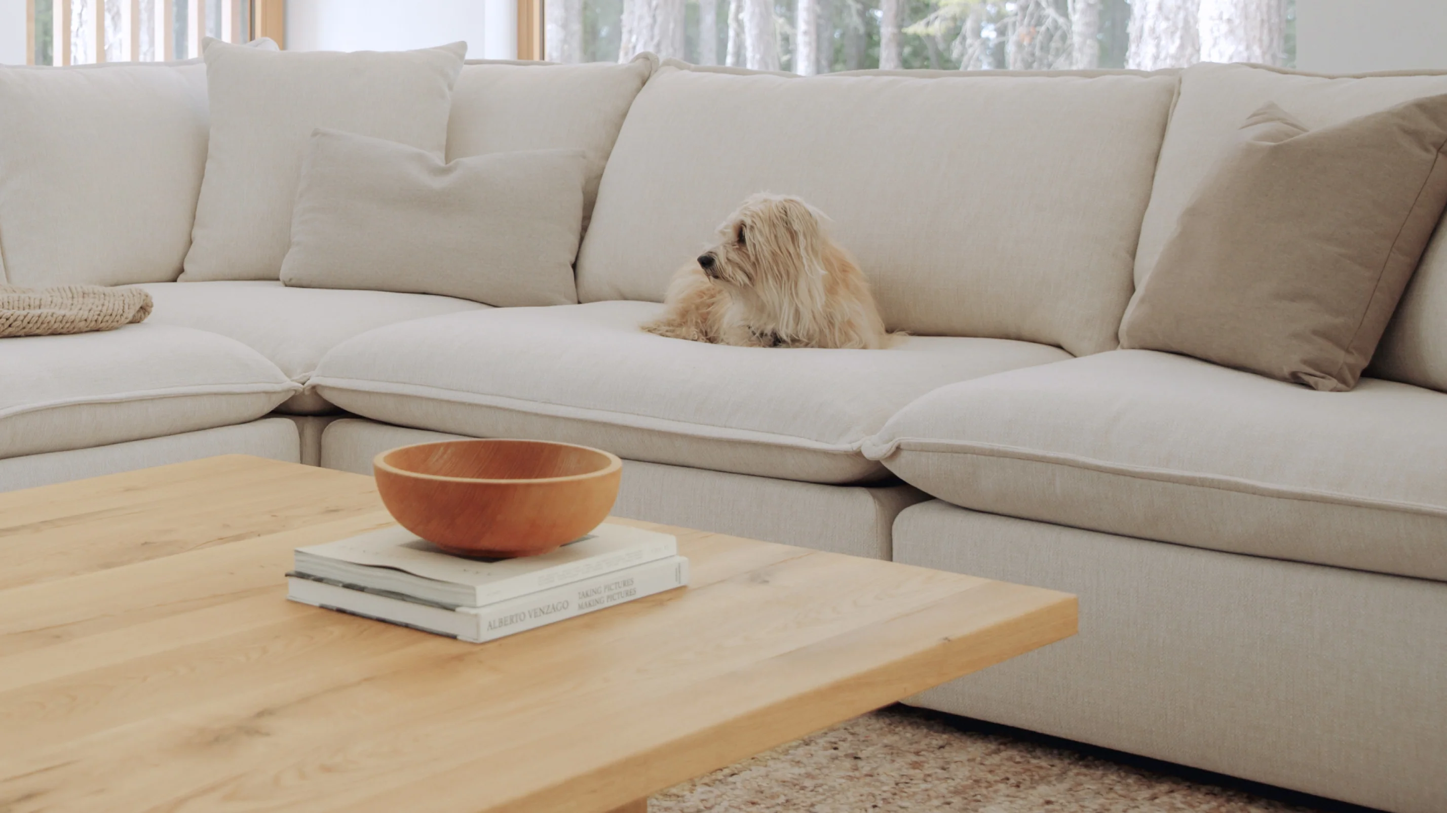 Chill Time 5-Piece Modular Sectional, Birch - Image 9